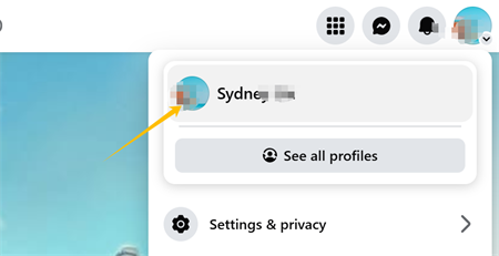 Haga clic en la foto de perfil en facebook