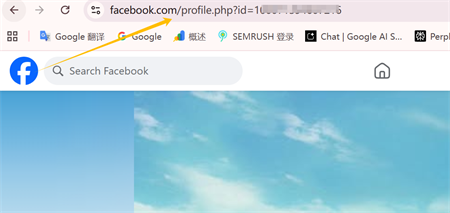 Enlace de perfil de Facebook
